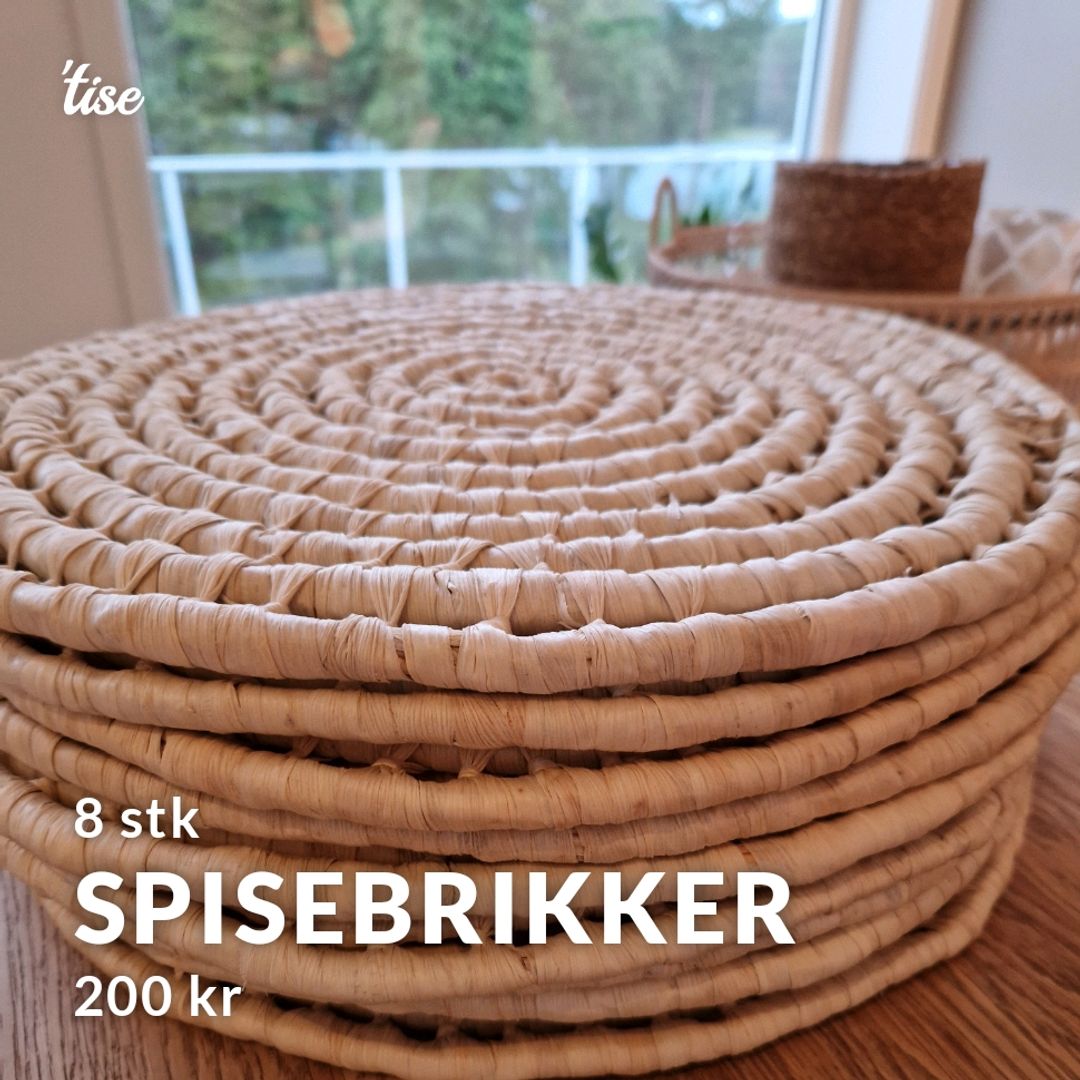 Spisebrikker