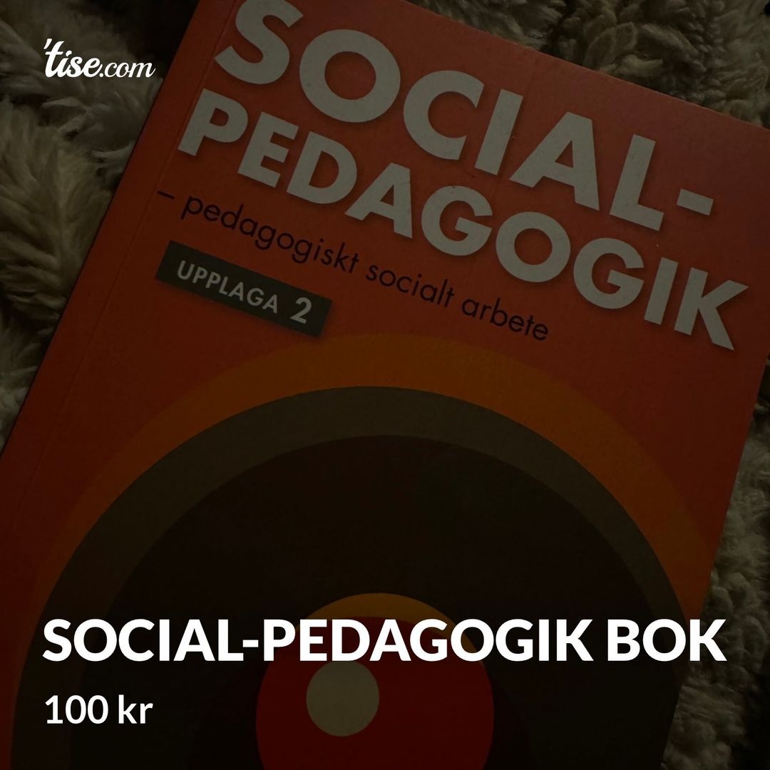 Social-pedagogik bok