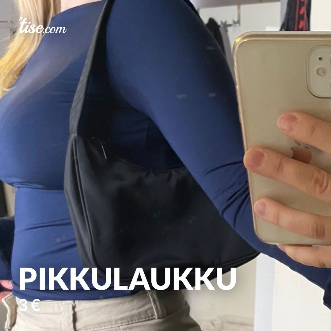 Pikkulaukku