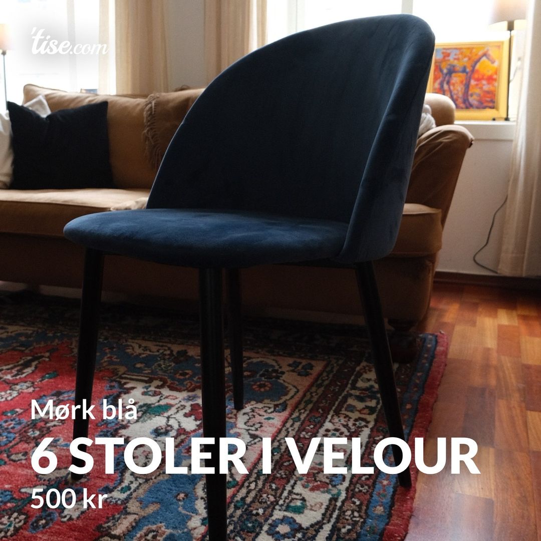 6 stoler i velour