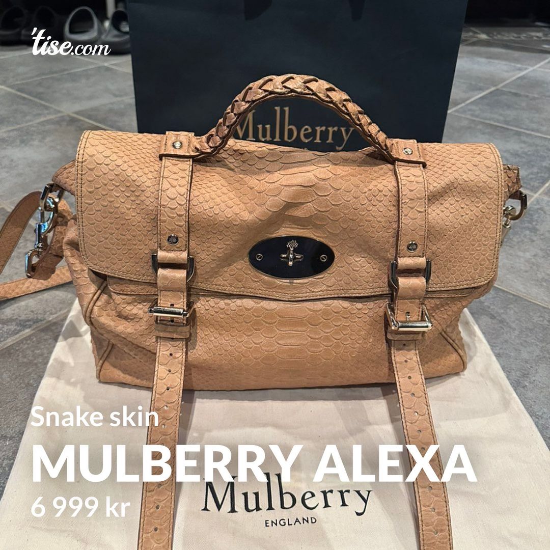 Mulberry alexa