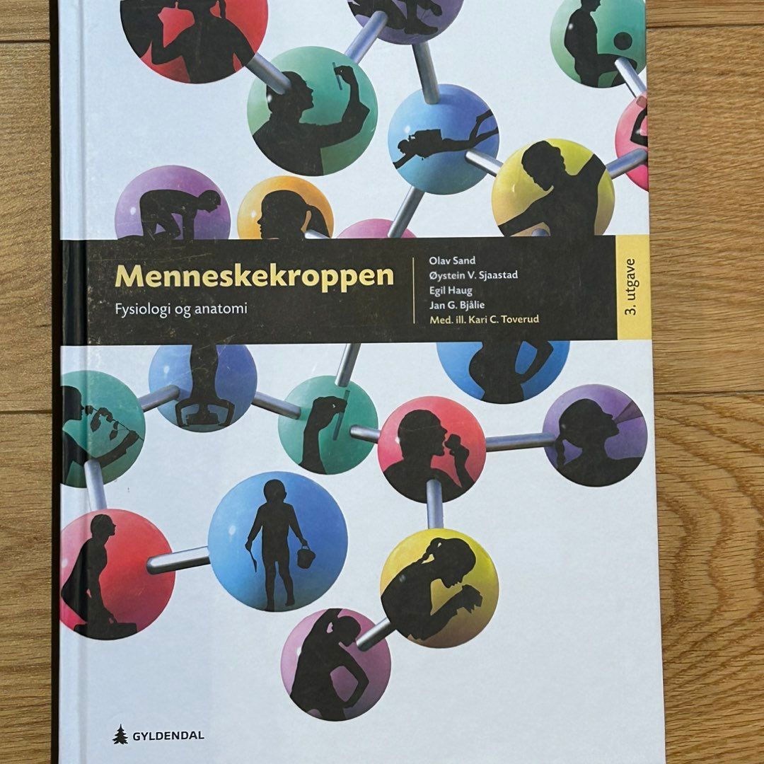 Menneskekroppen