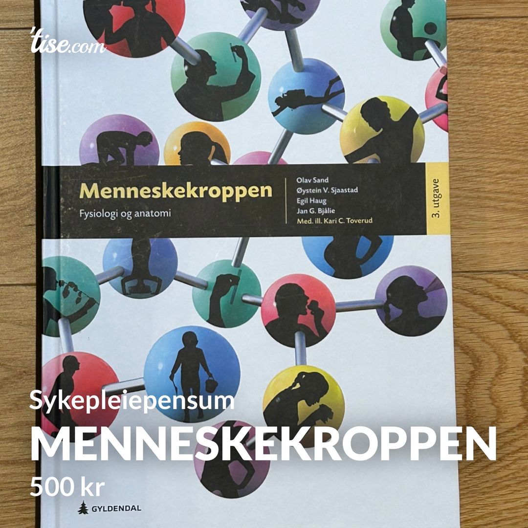 Menneskekroppen