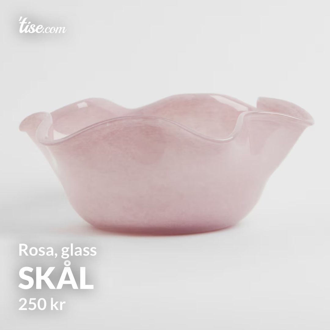 Skål