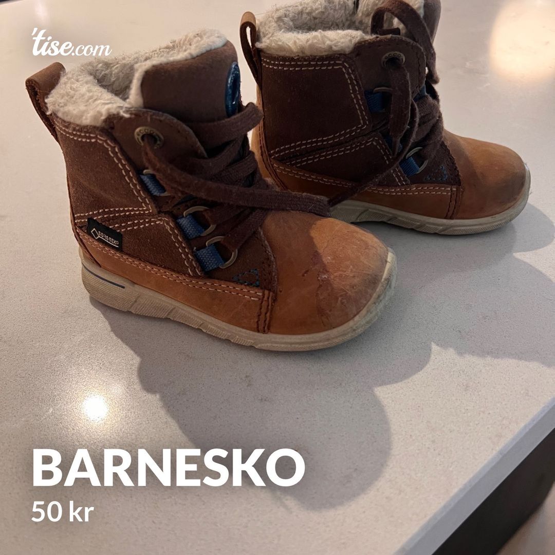 Barnesko