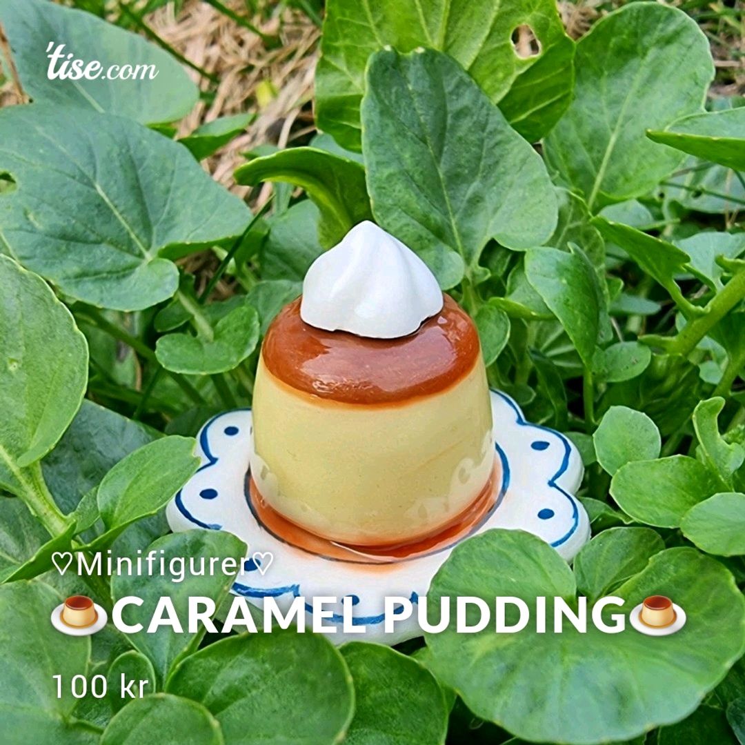 🍮caramel Pudding🍮