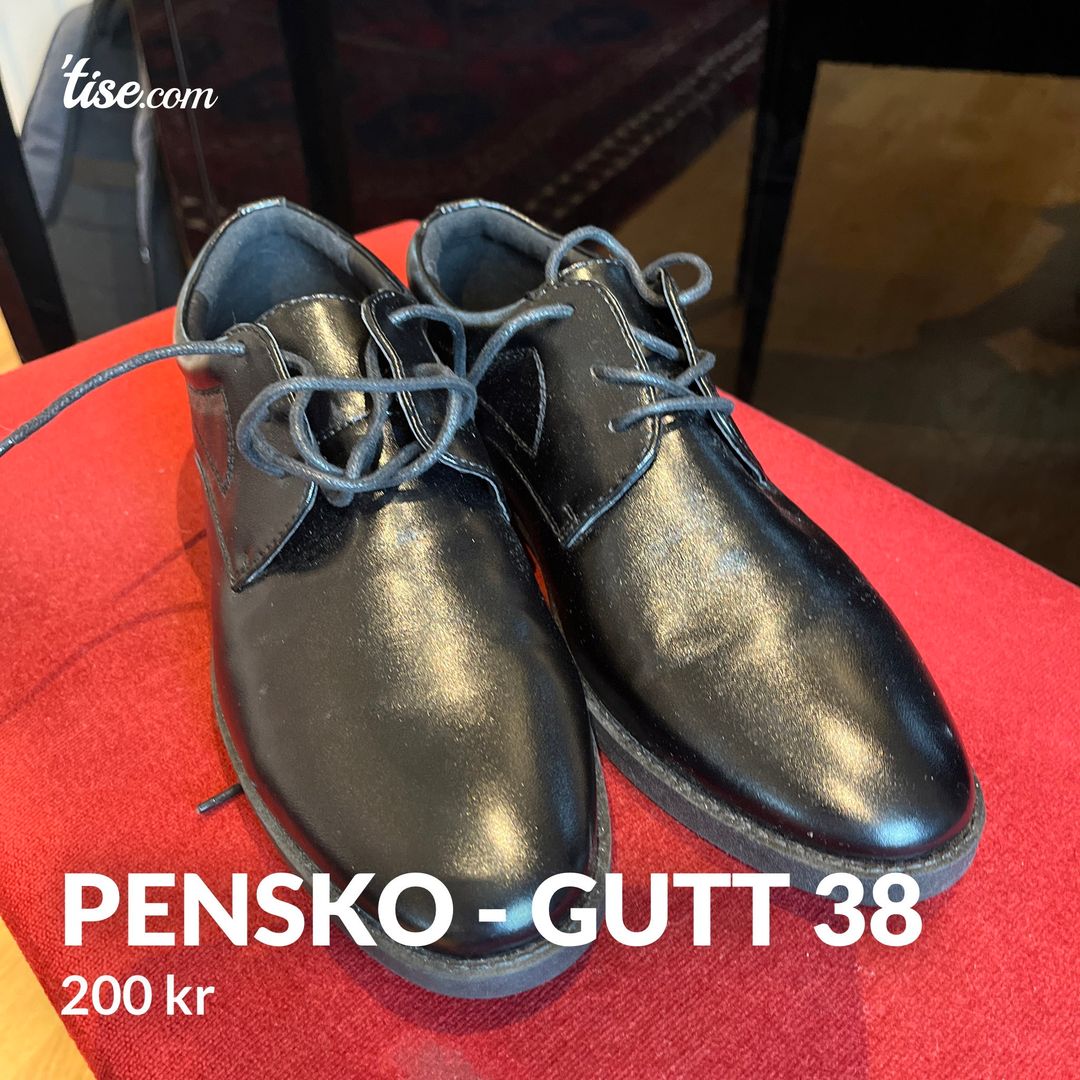 Pensko - gutt 38