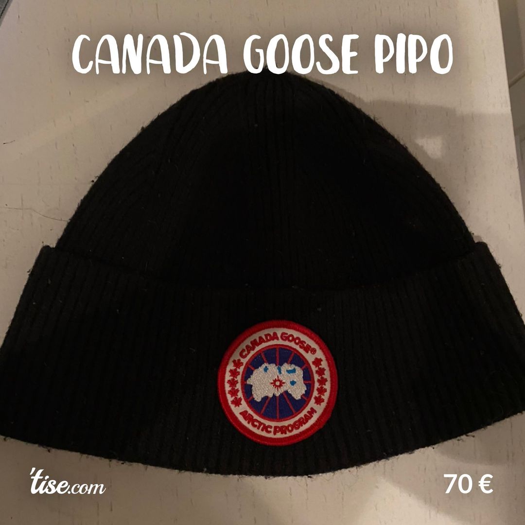 Canada goose pipo