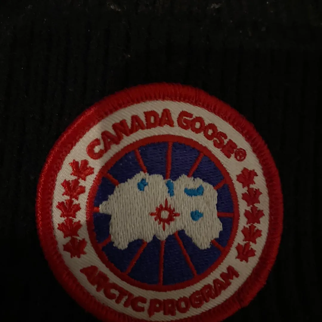 Canada goose pipo