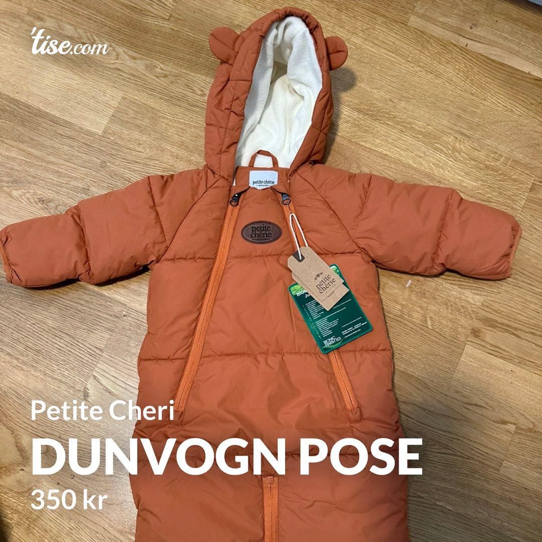 Dunvogn Pose