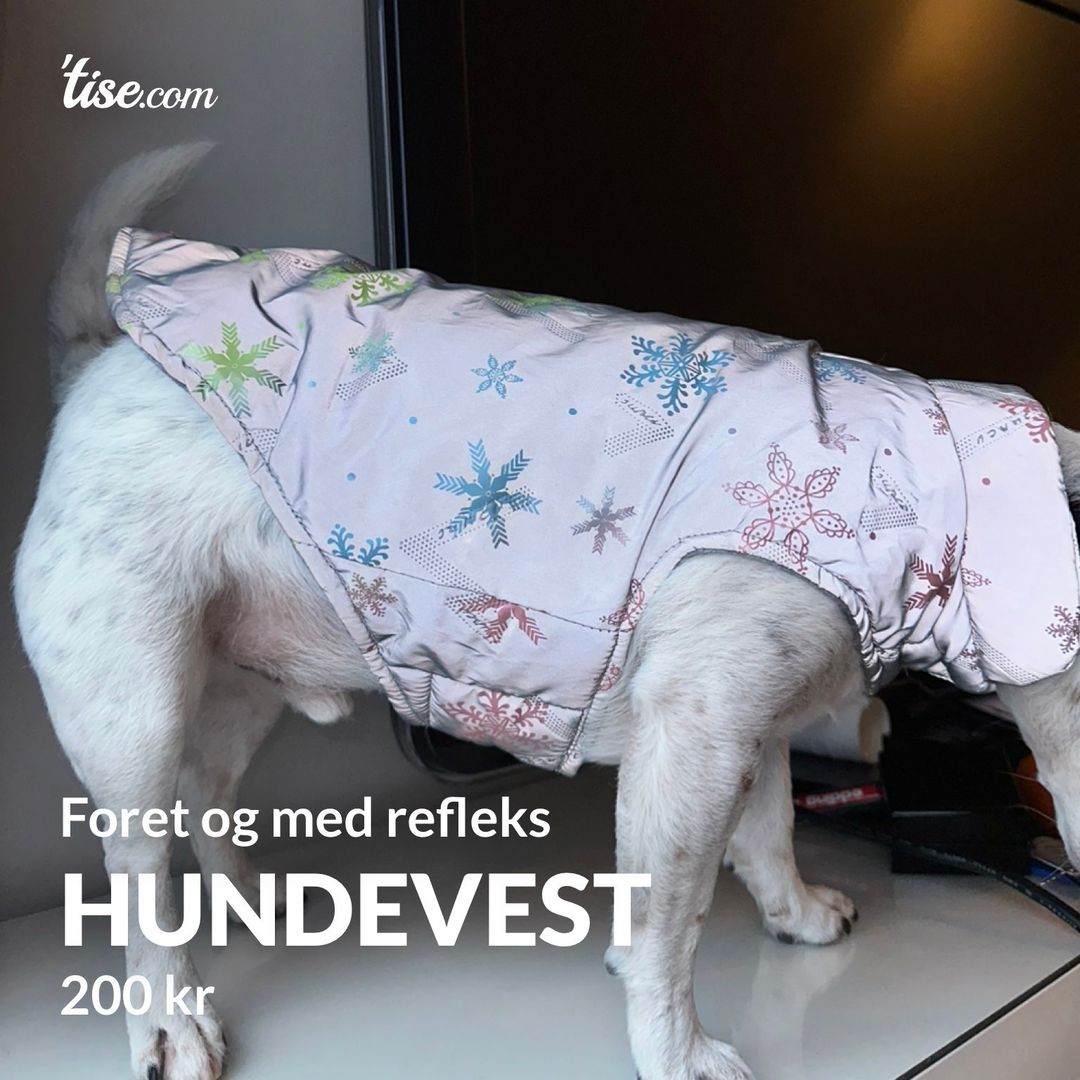 Hundevest