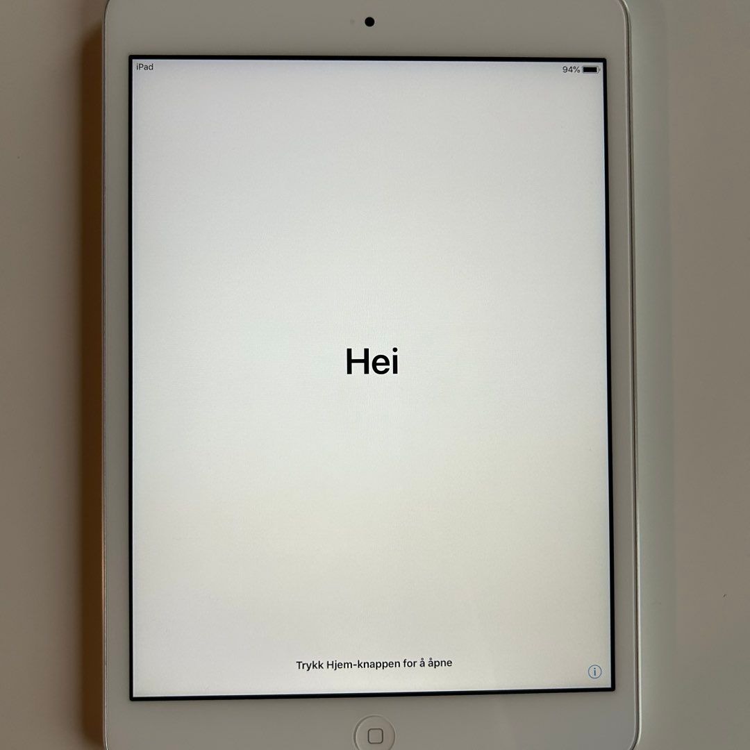 iPad mini 2