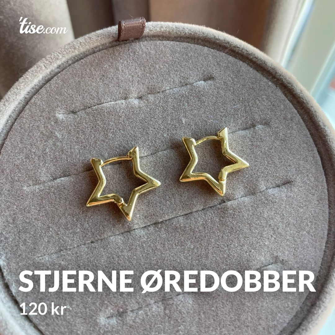 Stjerne øredobber