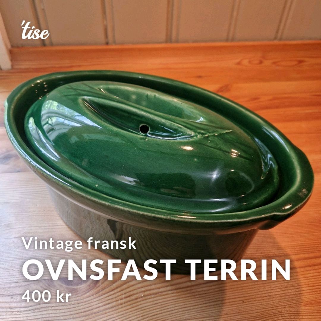 Ovnsfast terrin