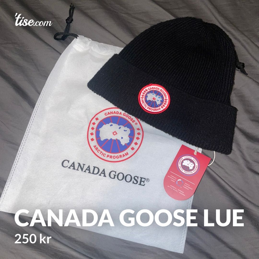 Canada Goose lue