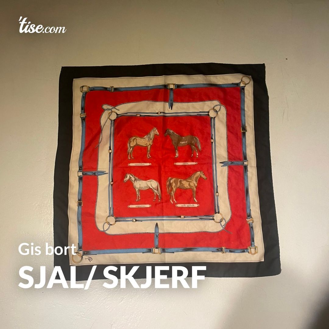 Sjal/ skjerf