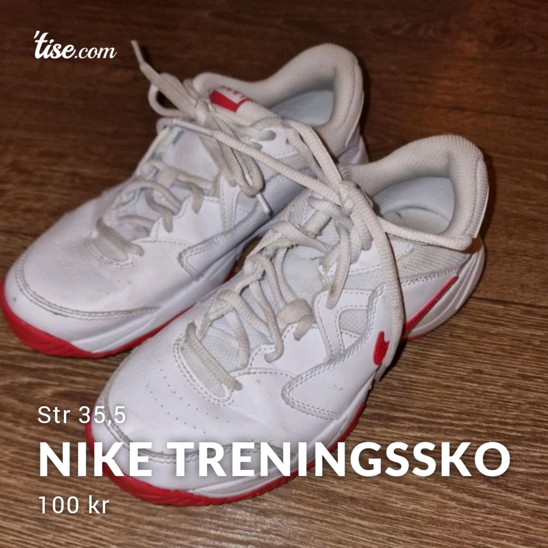 Nike Treningssko