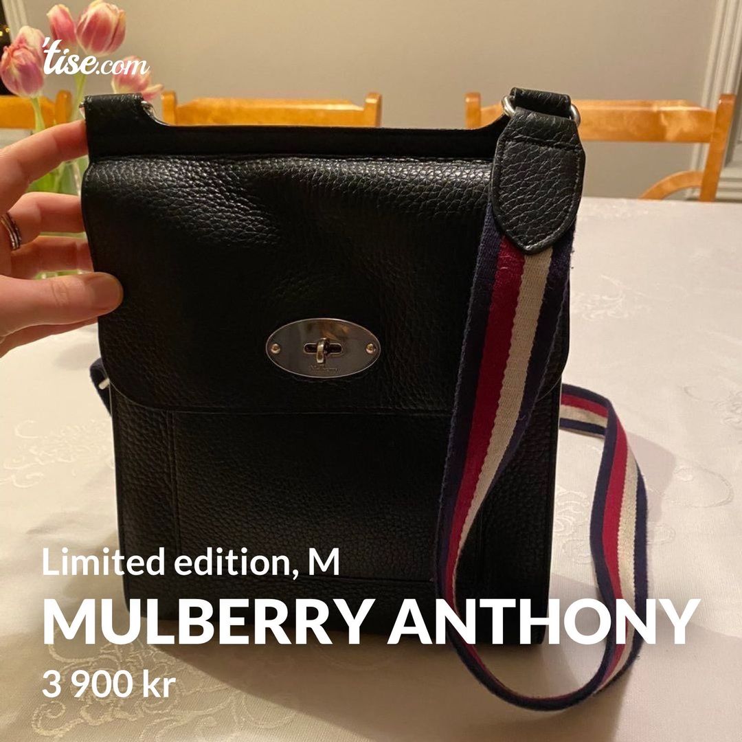 Mulberry Anthony