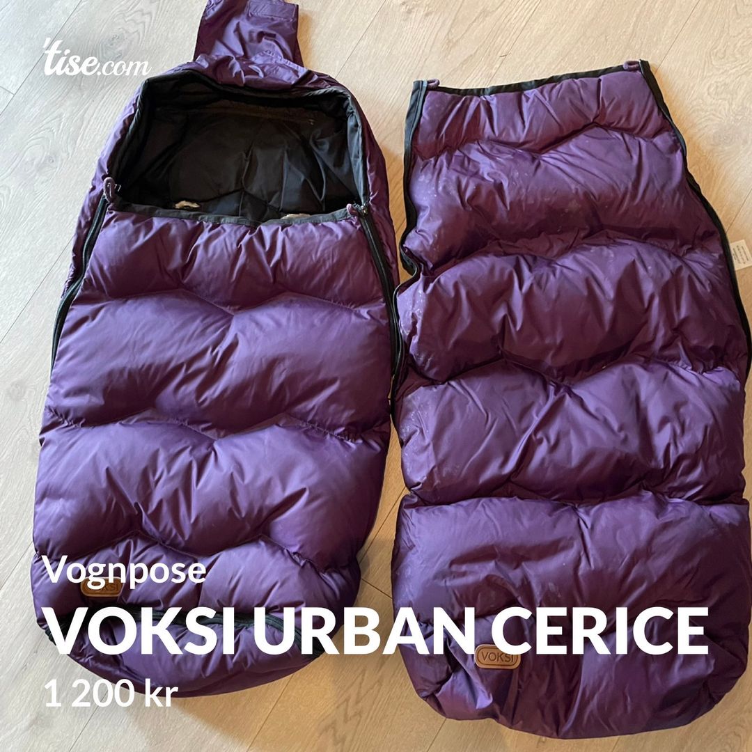 Voksi urban cerice