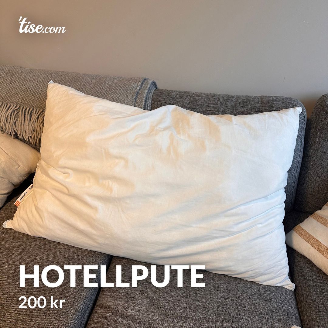 Hotellpute