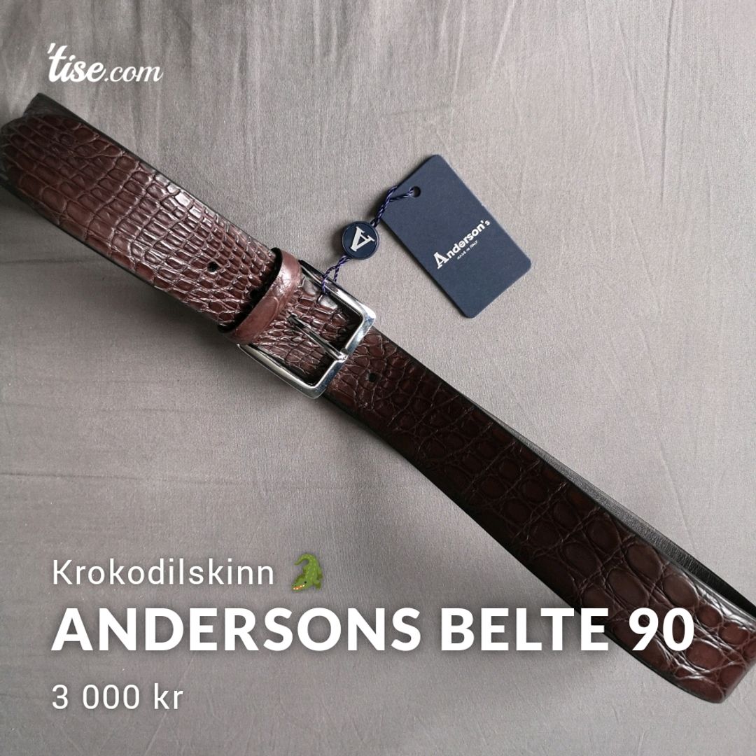 Andersons Belte 90