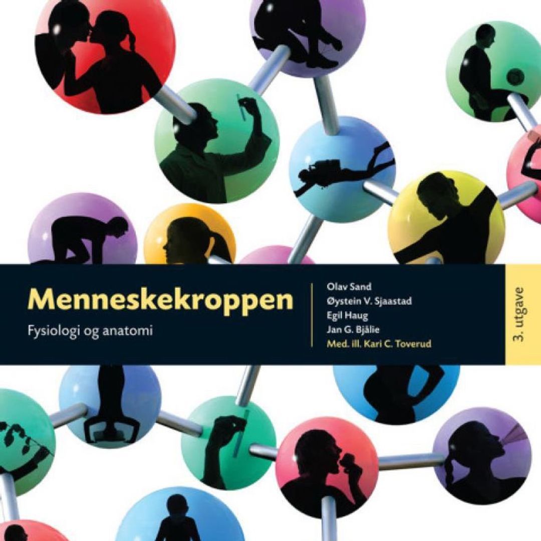 Menneskekroppen