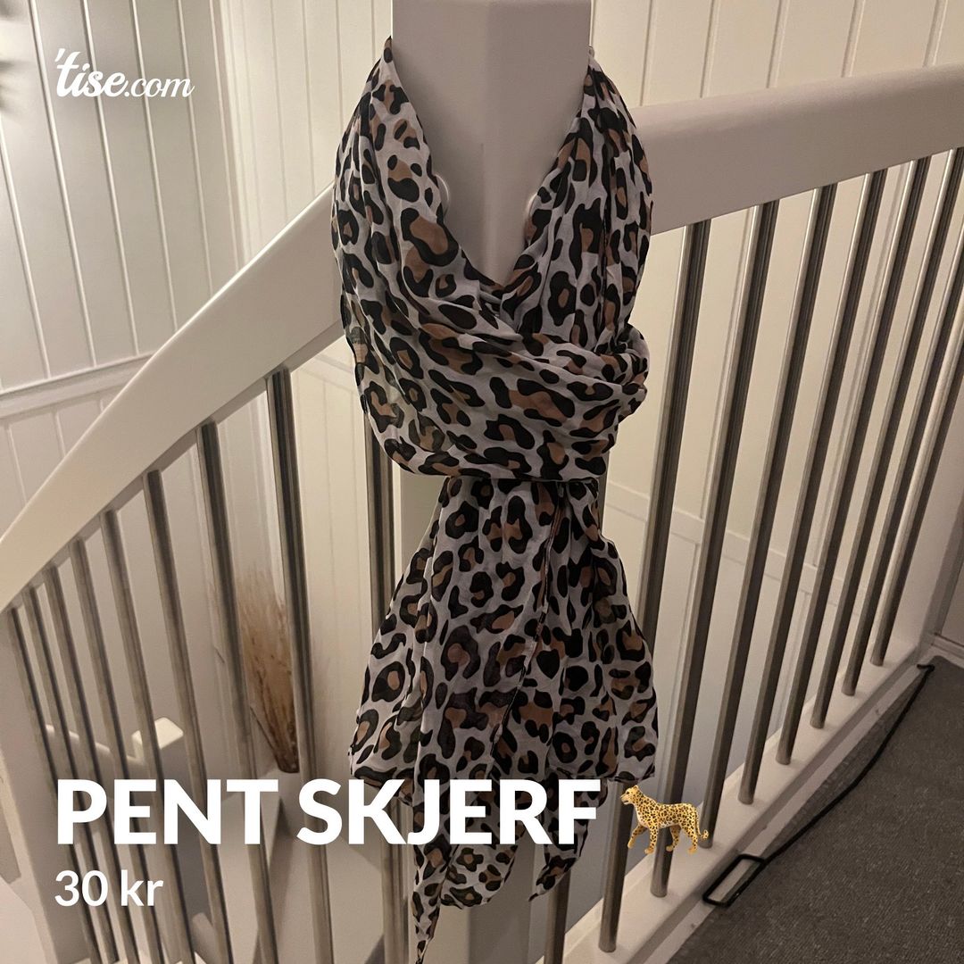 Pent skjerf 🐆