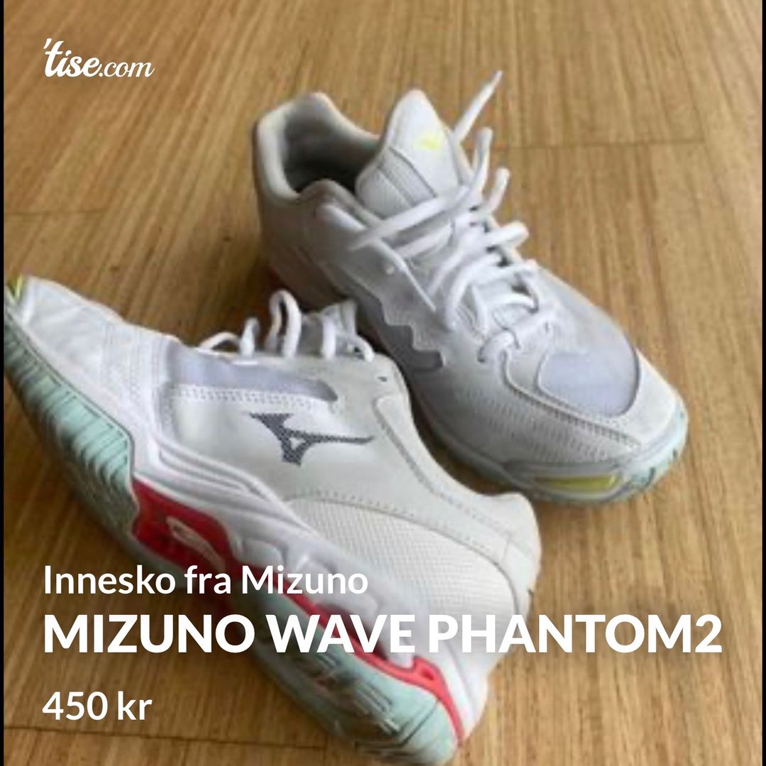 Mizuno wave phantom2