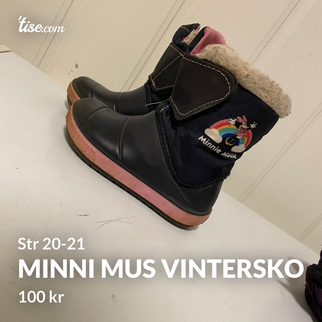 Minni mus vintersko