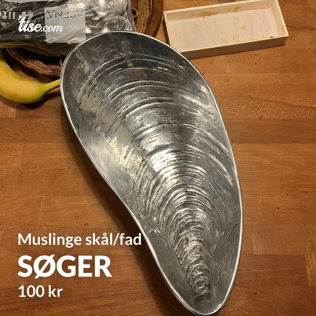 SØGER