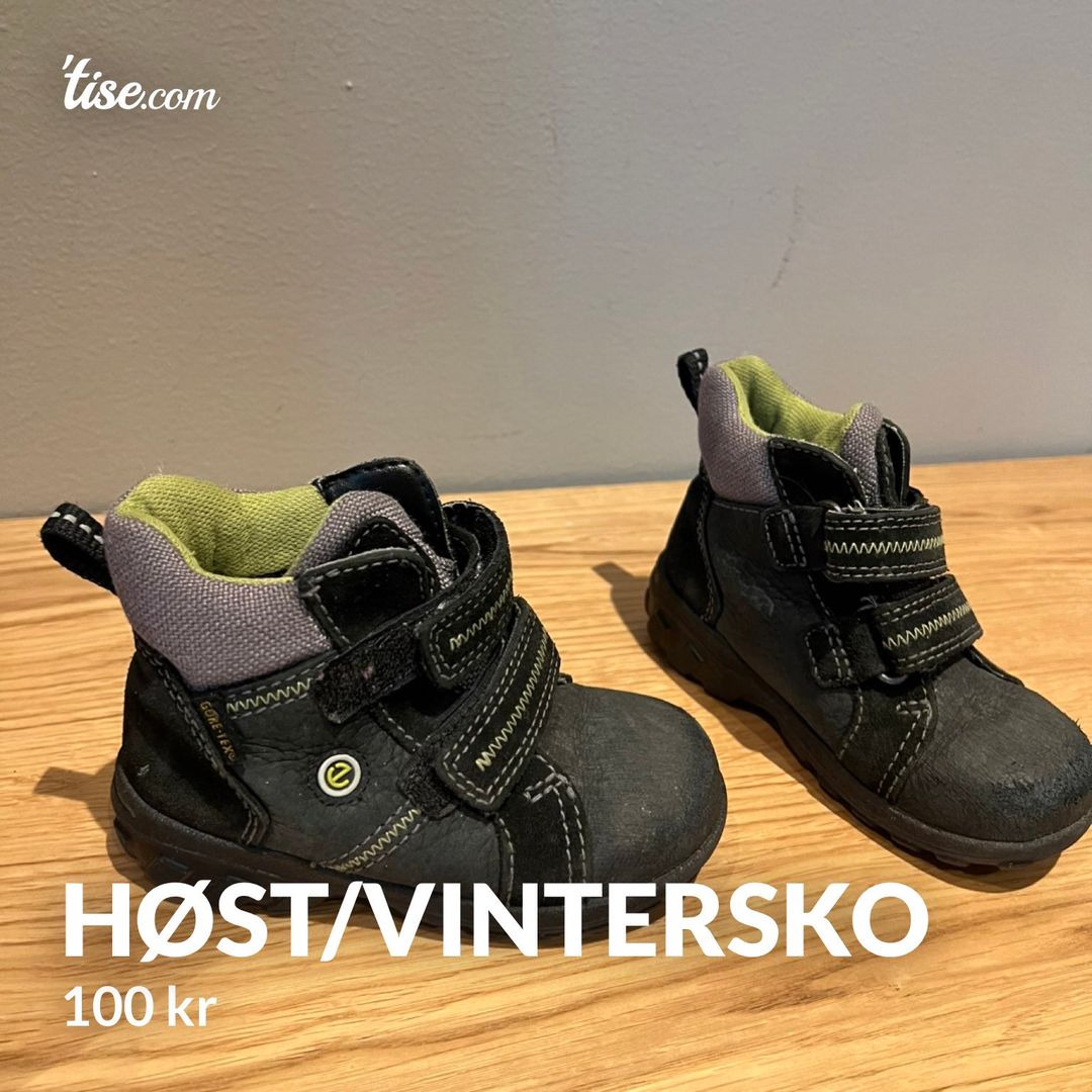 Høst/vintersko