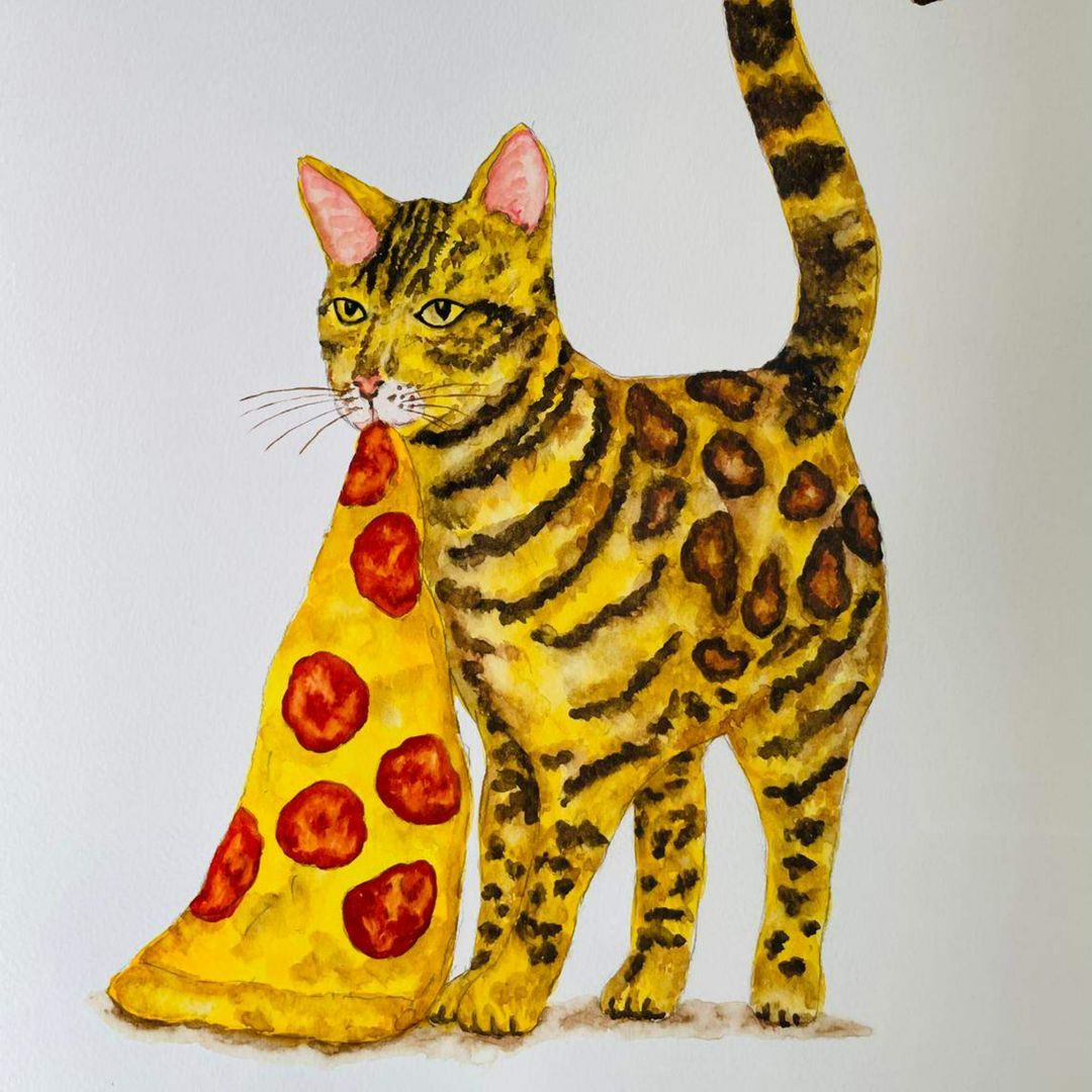 Pizza katt