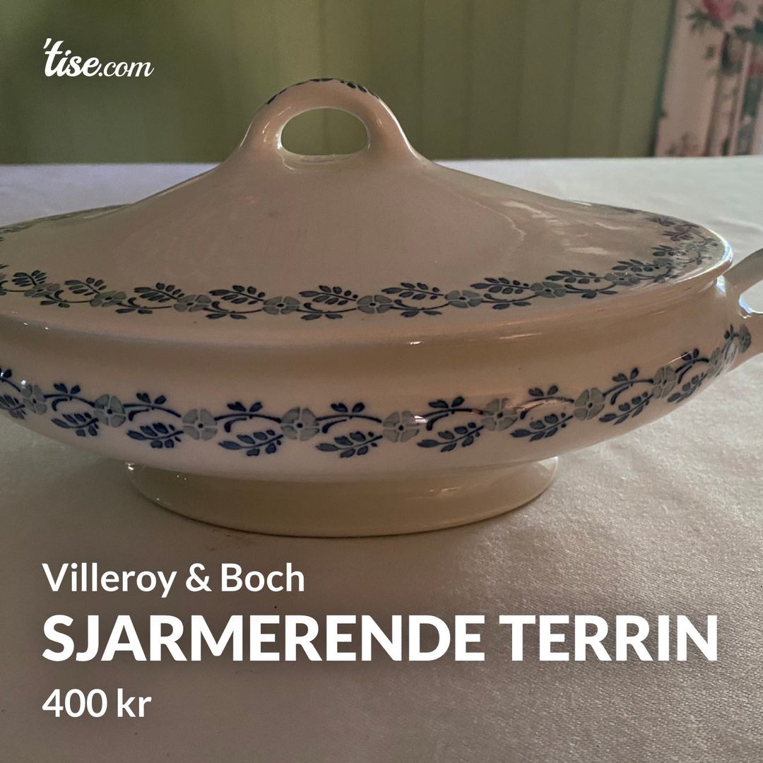 Sjarmerende terrin