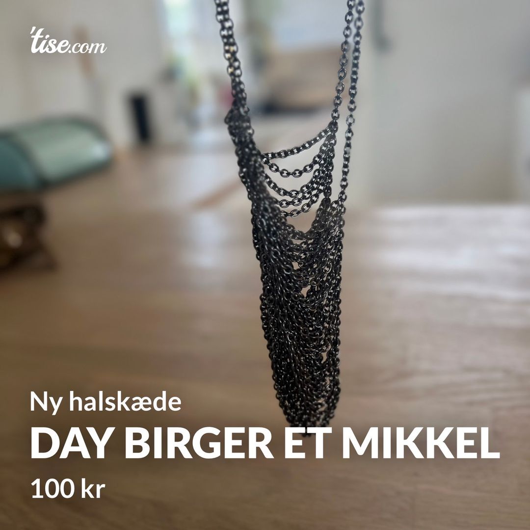 Day Birger et Mikkel