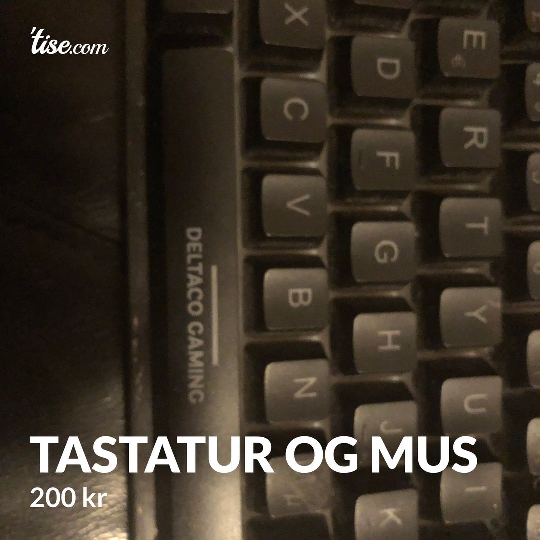 Tastatur og mus