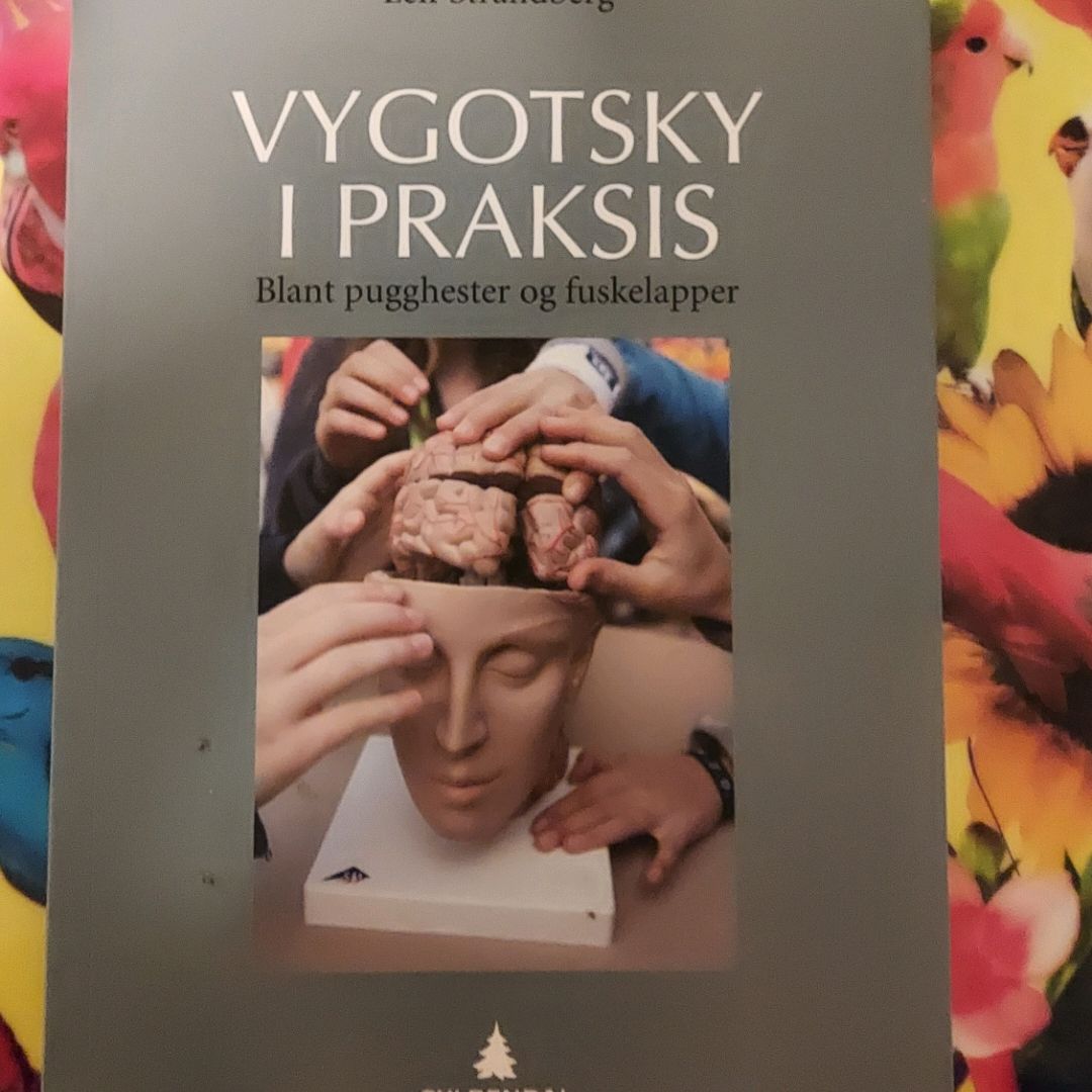 Vygotsky I Praksis