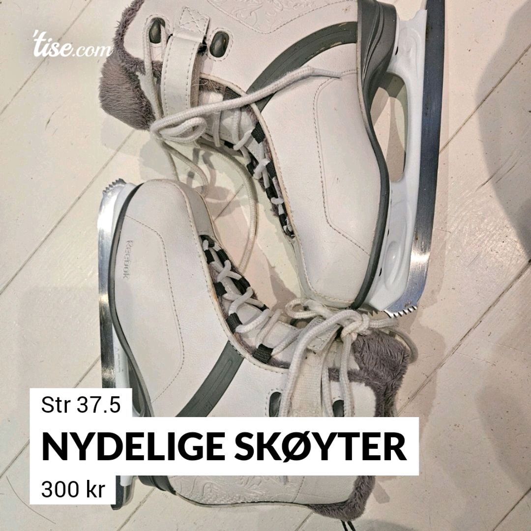 Nydelige Skøyter