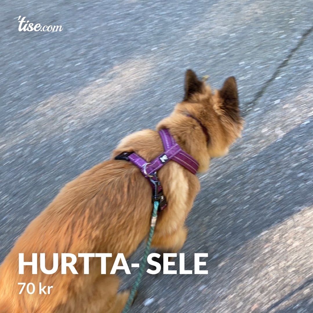 Hurtta- sele