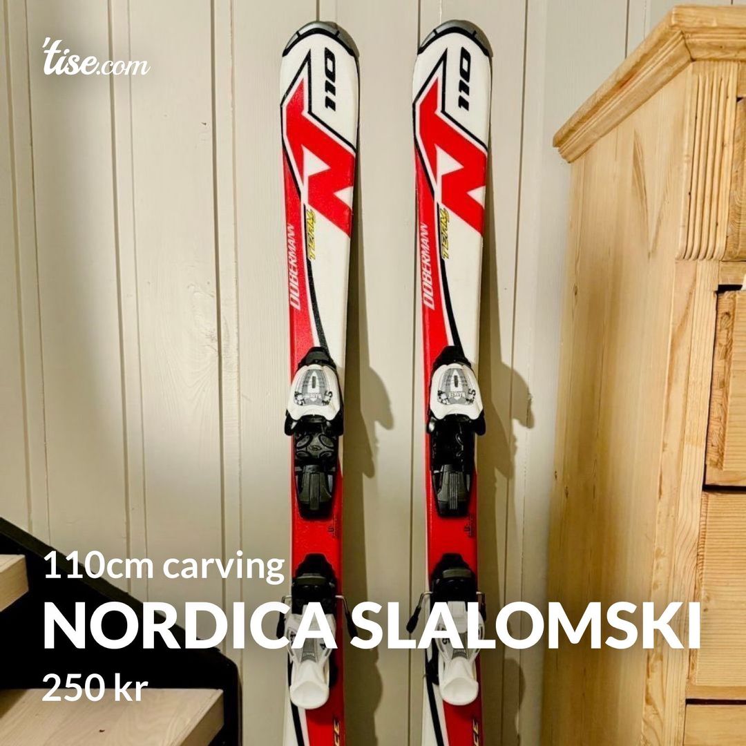 Nordica slalomski