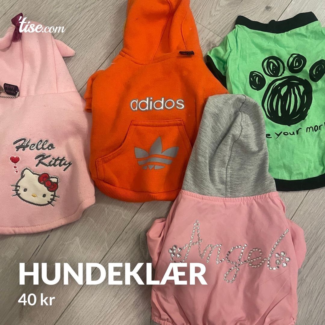 Hundeklær