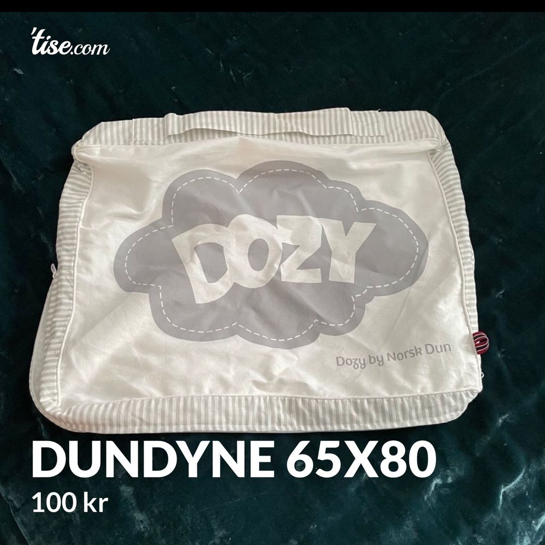 Dundyne 65x80