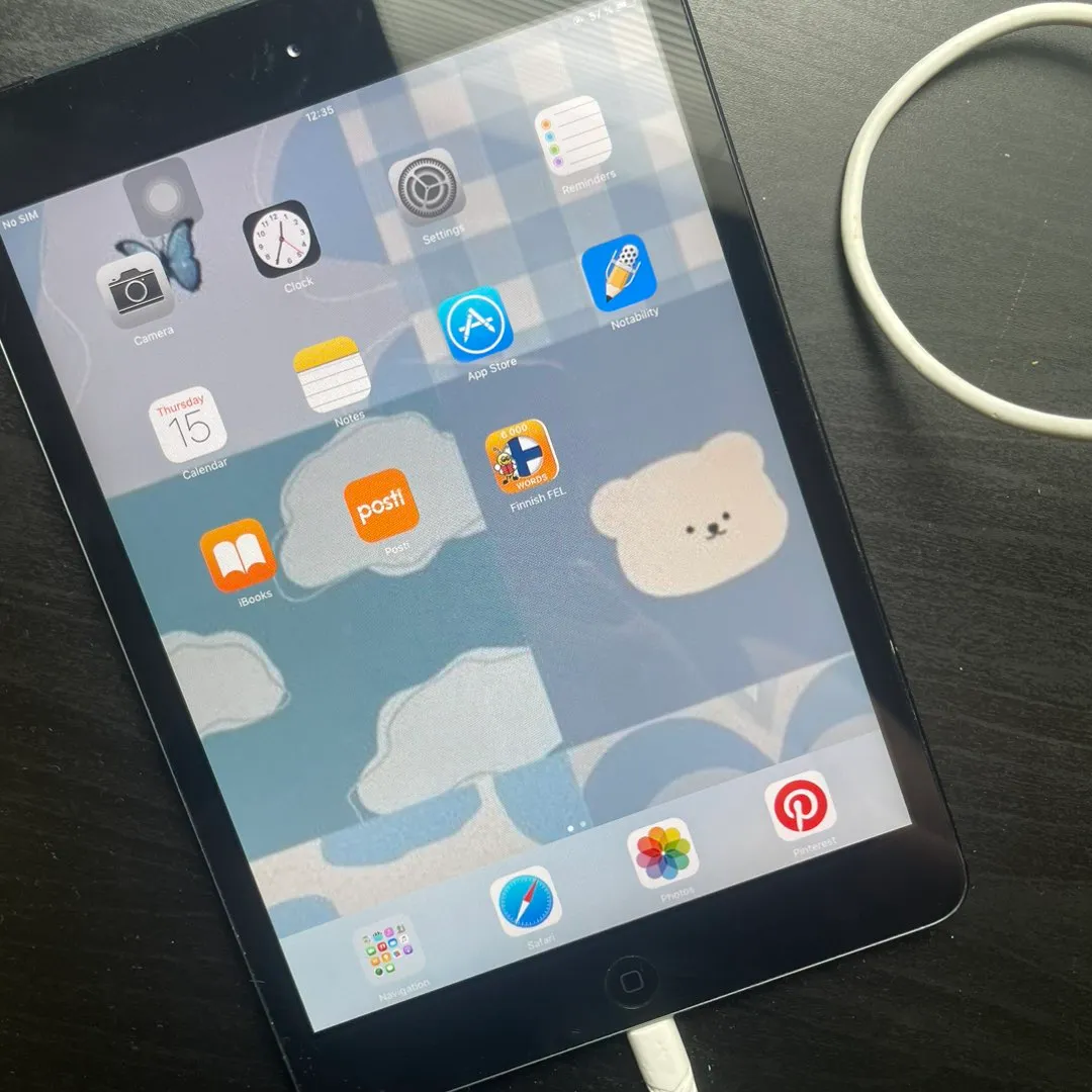 Ipad mini