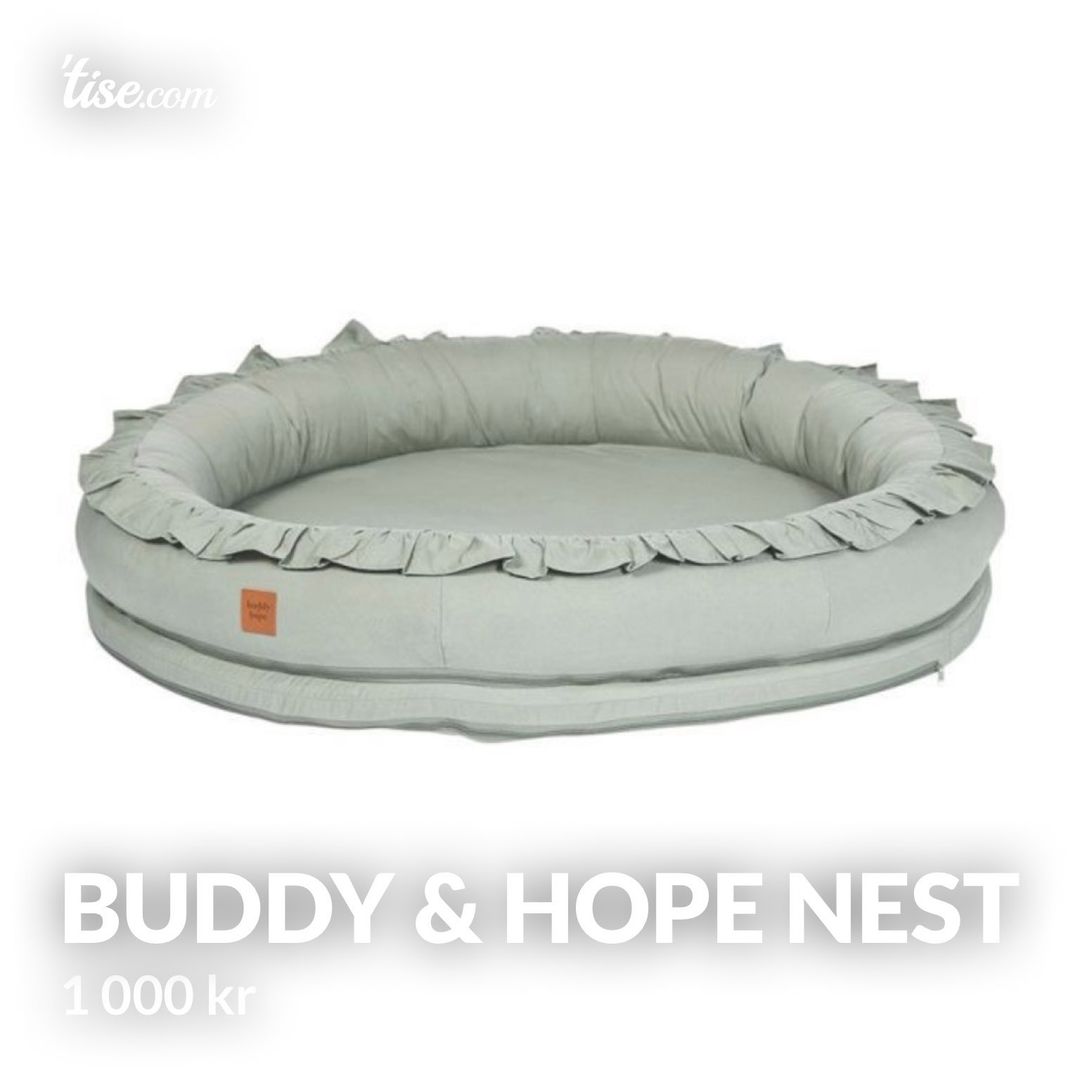 Buddy  Hope nest