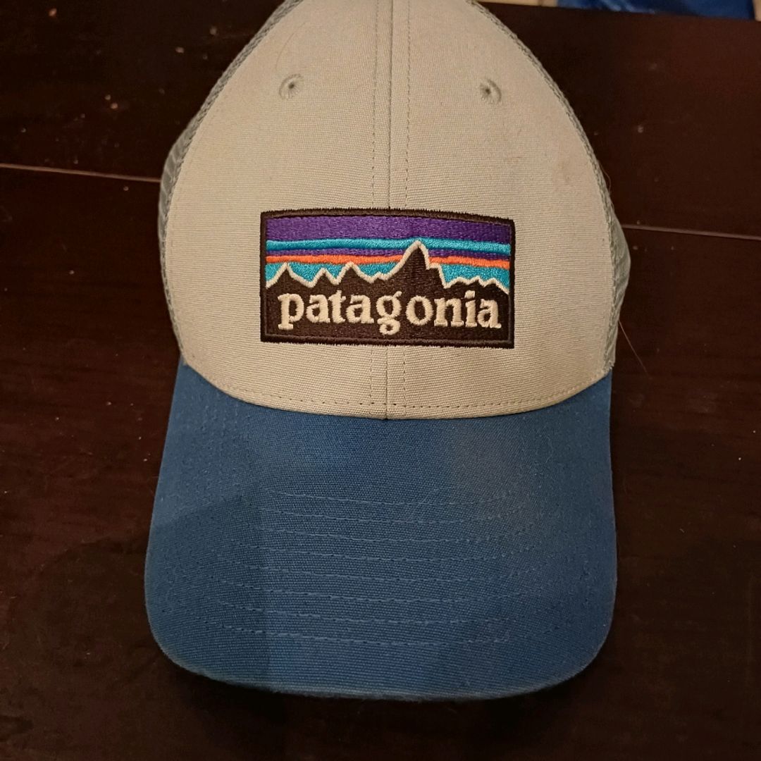 Patagonia Caps