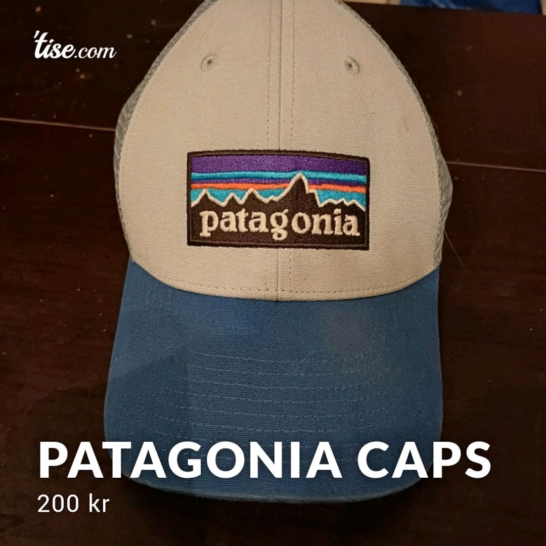 Patagonia Caps