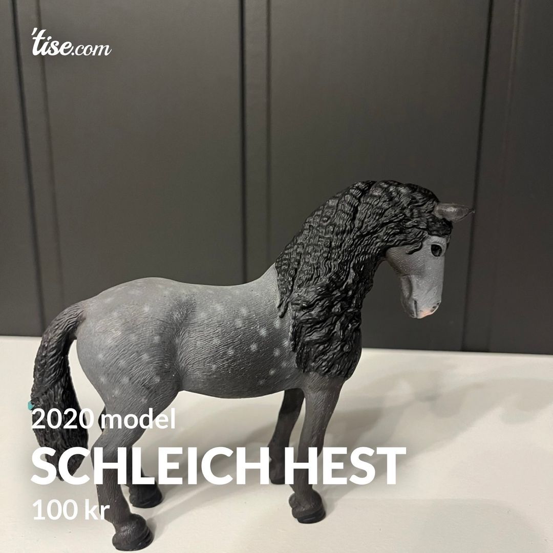 Schleich hest