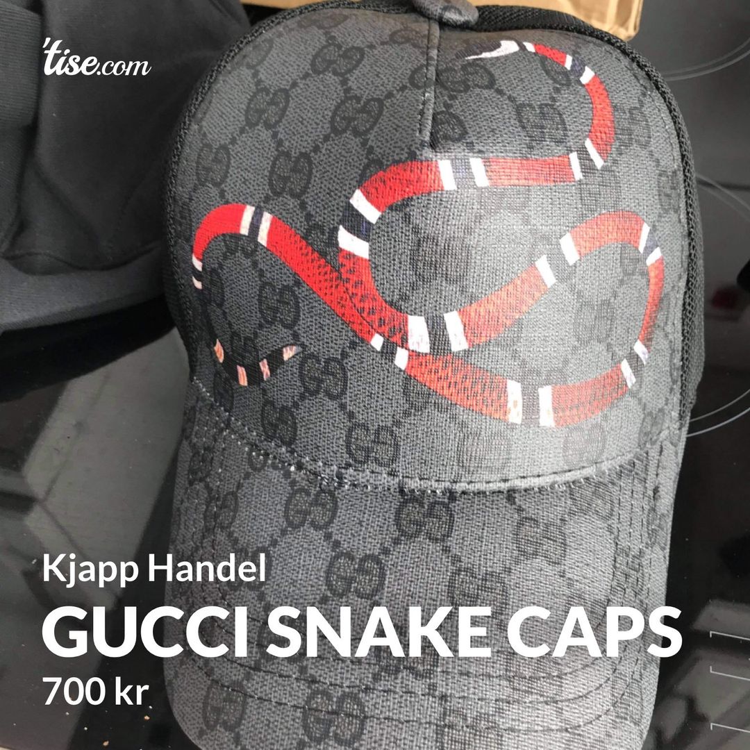 Gucci Snake Caps