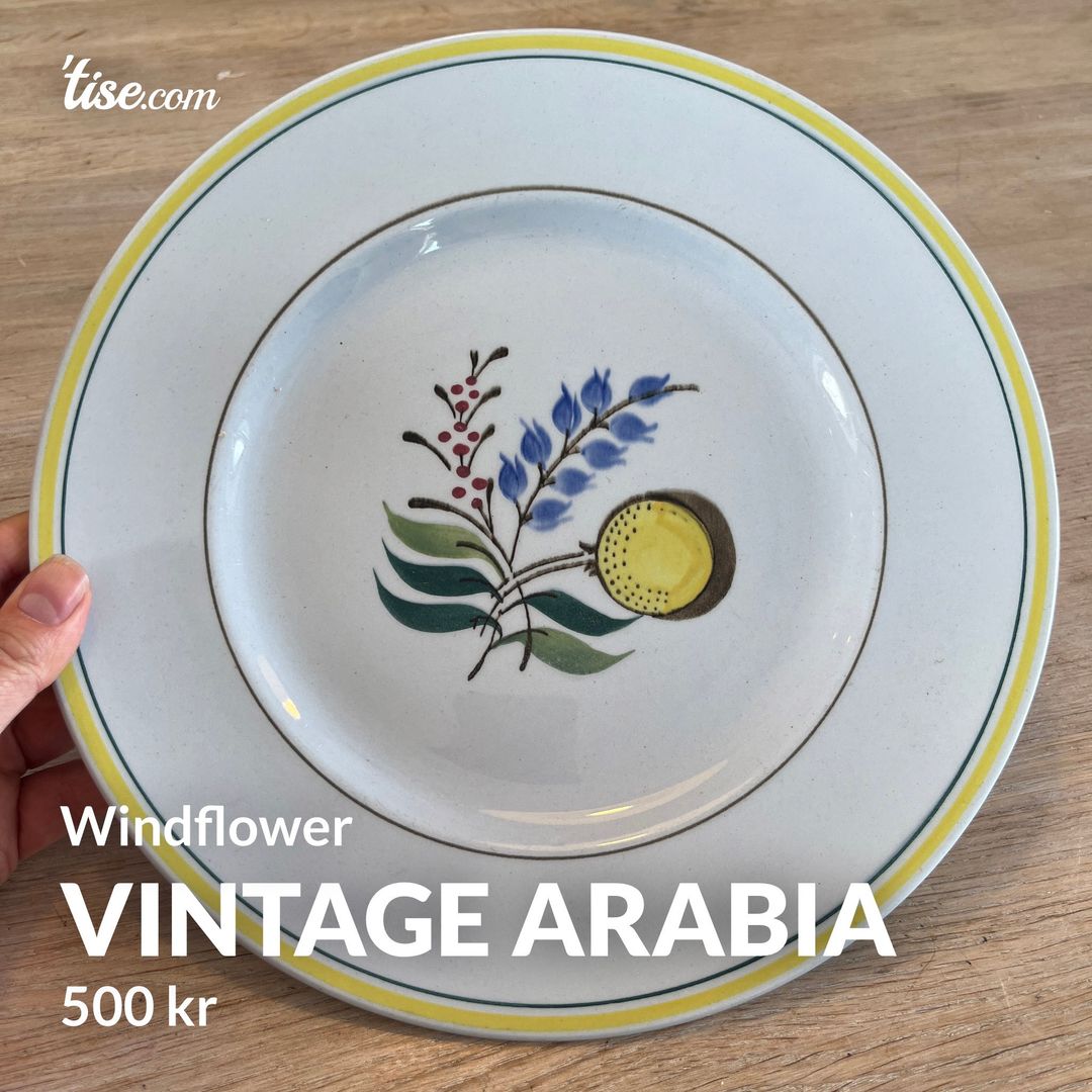 Vintage Arabia