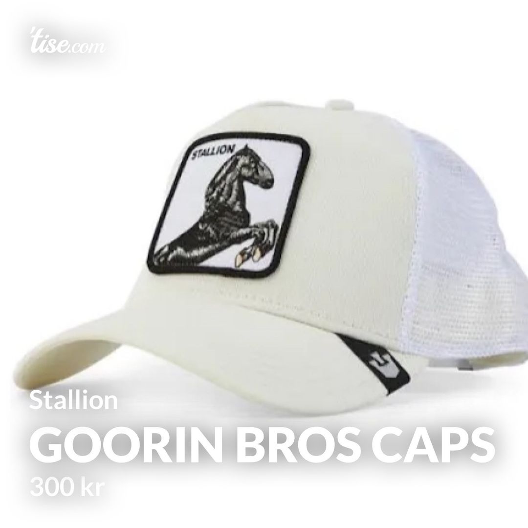 Goorin bros caps