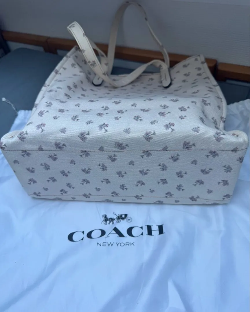 Coach X Disney Dumbo